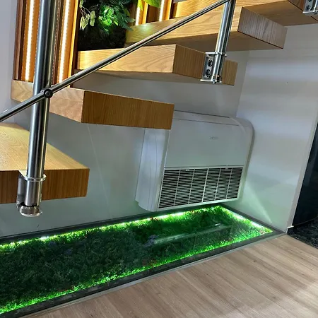 Rent 2 Rolandi Apartment Pogradec